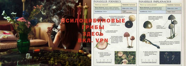 круглые Медногорск