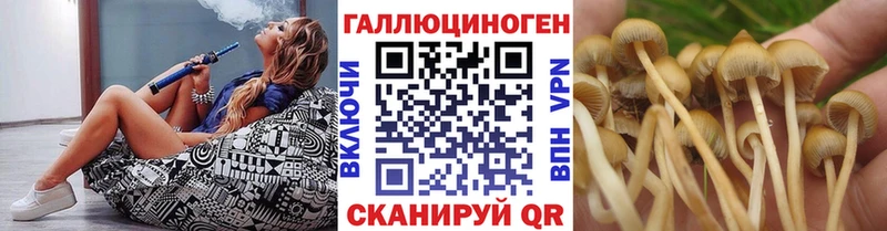 Псилоцибиновые грибы ЛСД Иваново