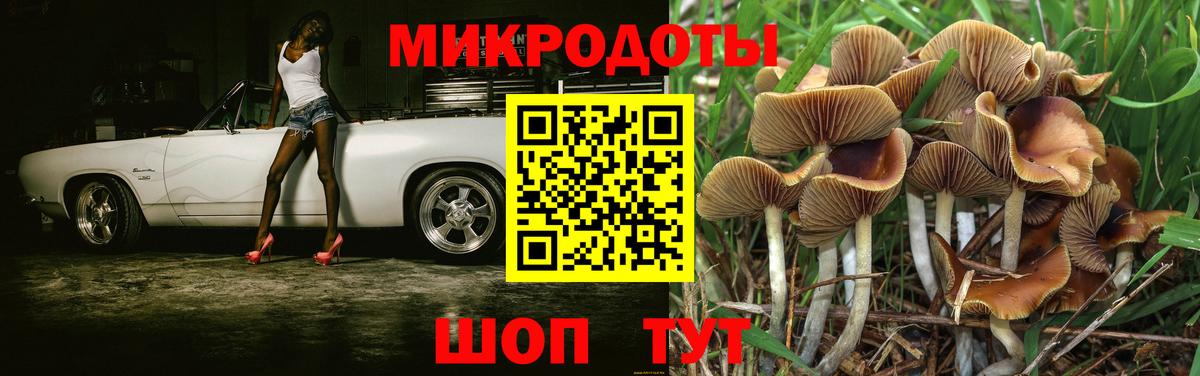 Псилоцибиновые грибы ЛСД Иваново